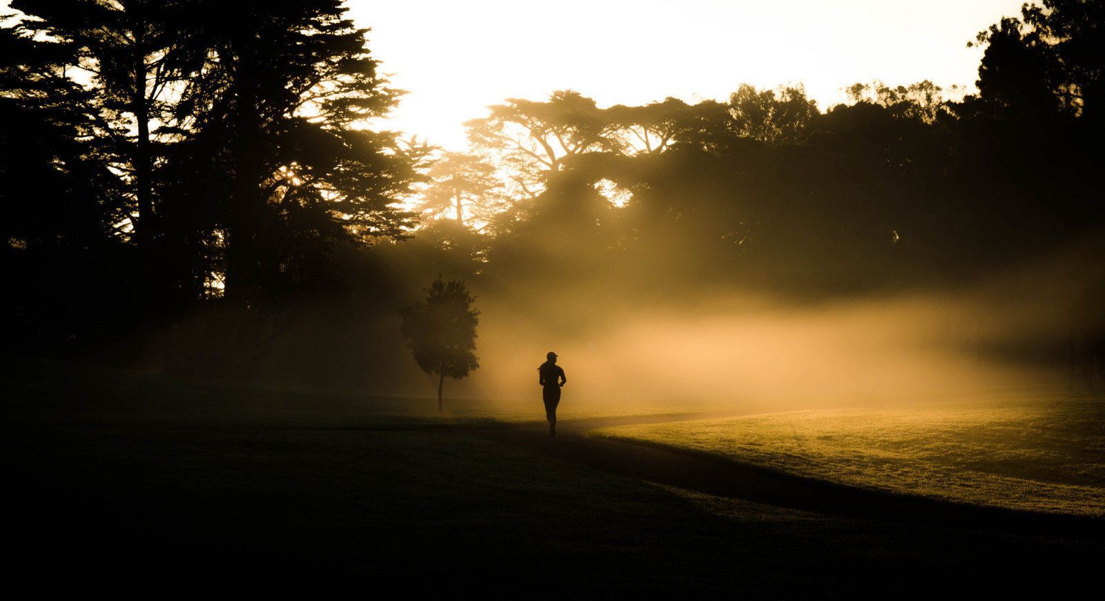 ochtend-, mist, rennen