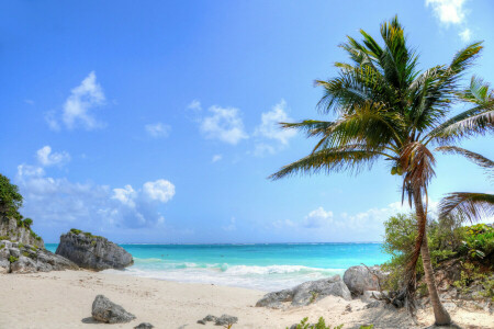 beach, nature, palm trees, rocks, sand, sea, wave