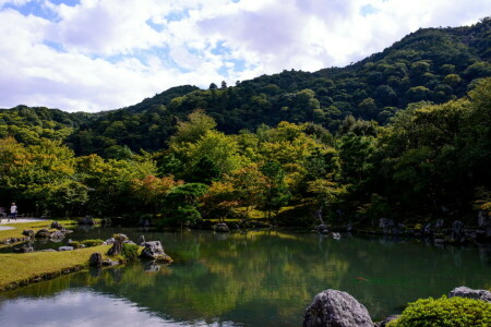 Japón, Parque, estanque, piedras, arboles