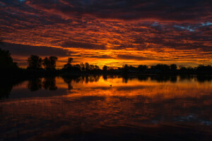 clouds, duck, glow, lake, landscape, trees