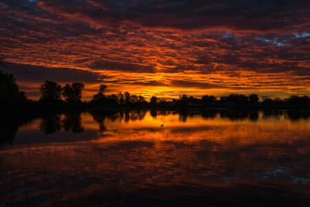 wolken, eend, gloed, meer, landschap, bomen