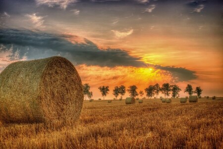 veld-, hooi, zomer, zonsondergang