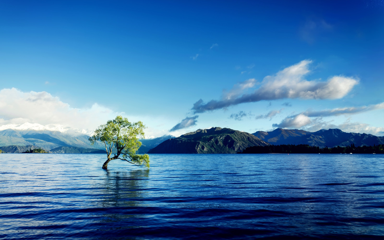 árbol, lago, nubes, montañas, torcido