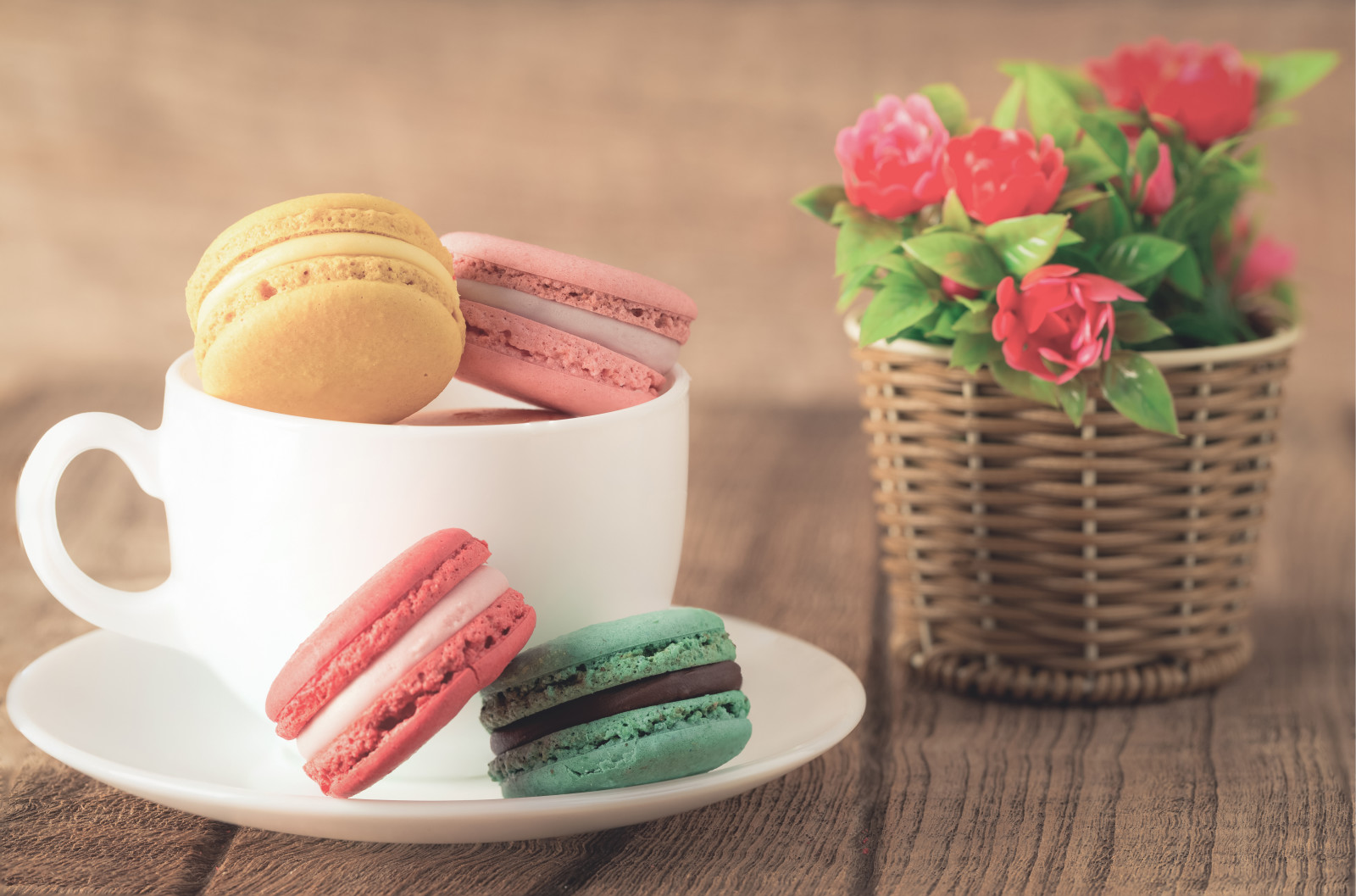 bloemen, koekjes, koffie, toetje, kleurrijk, zoet, macaron, Kop