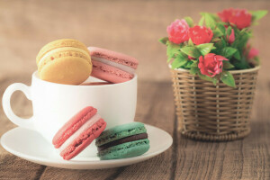 migdală, cafea, colorat, fursecuri, ceașcă, desert, flori, macaron