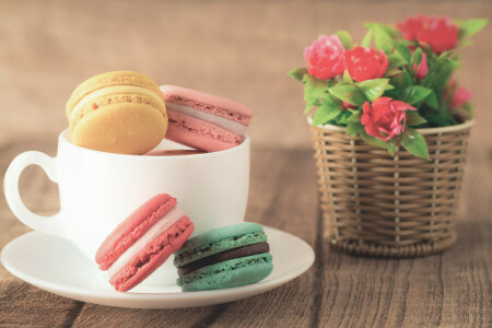 almond, coffee, colorful, cookies, Cup, dessert, flowers, macaron