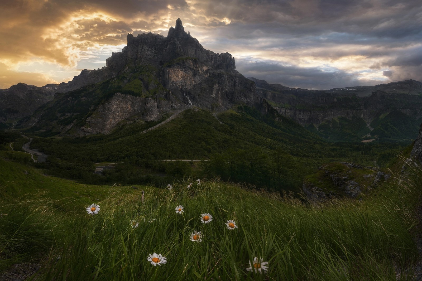 grass, nature, flowers, mountains