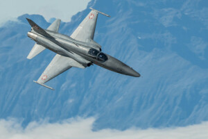 Ανετα, F-5, Μαχητής, πτήση, Πολλαπλών χρήσεων, Tiger II