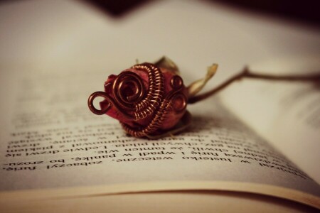 livre, fleur, Page, Rose