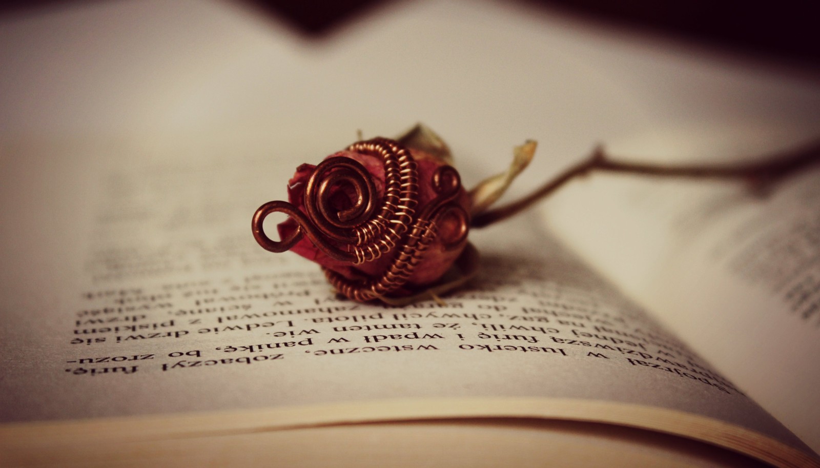 rose, flower, book, Page