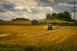 Feld, Sommer-, Traktor