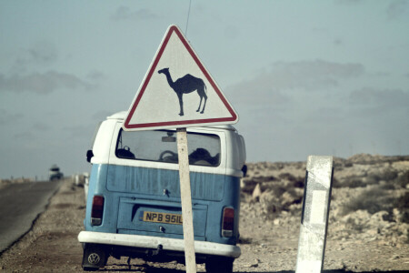 indietro, cammello, nuvole, Deserto, strada, Cartello, il cielo, Volkswagen