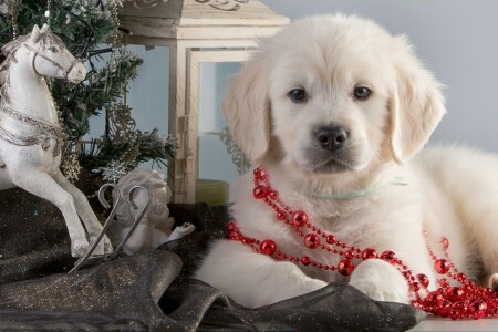 angel, garland, horse, puppy, Retriever, tree