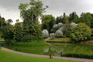 conception, herbe, pelouse, palmiers, parc, étang, Singapour, des arbres