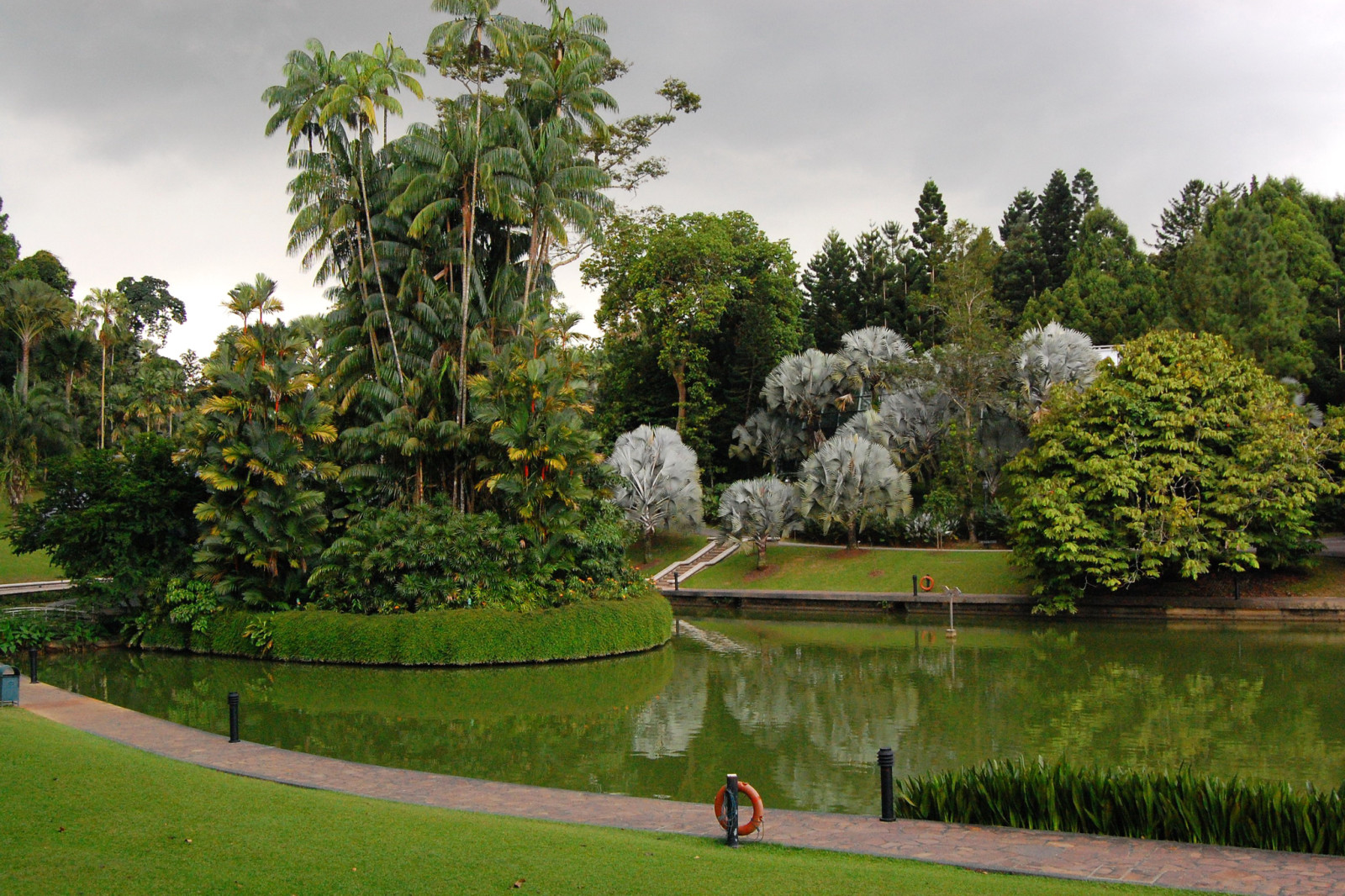 herbe, parc, des arbres, pelouse, étang, palmiers, conception, Singapour