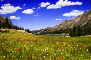 nubes, flores, césped, lago, prado, montañas