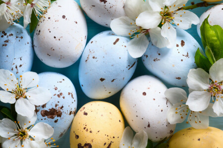 ramas, Cereza, Pascua de Resurrección, huevos, flores, fiesta