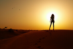 camelo, Deserto, Eugene Nadein, menina, fotógrafo, fino, pôr do sol, as dunas