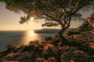 costa, alvorecer, pedras, mar, pedras