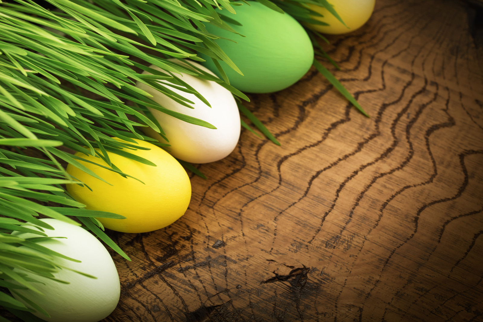 decoration, grass, eggs, happy, flowers, spring, Easter