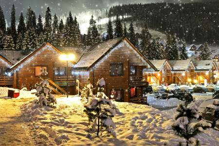 foresta, ghirlanda, vacanza, case, luci, Nuovo anno, notte, neve