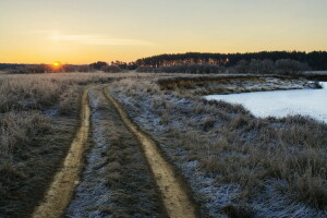 höst, fält, frost, landskap, morgon-, väg