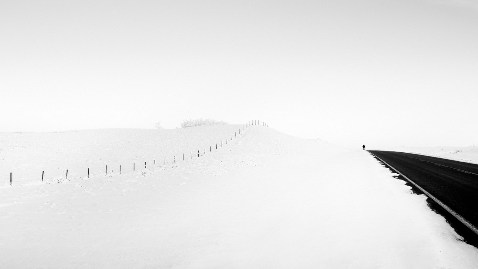 nieve, la carretera, personas