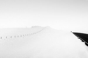 people, road, snow