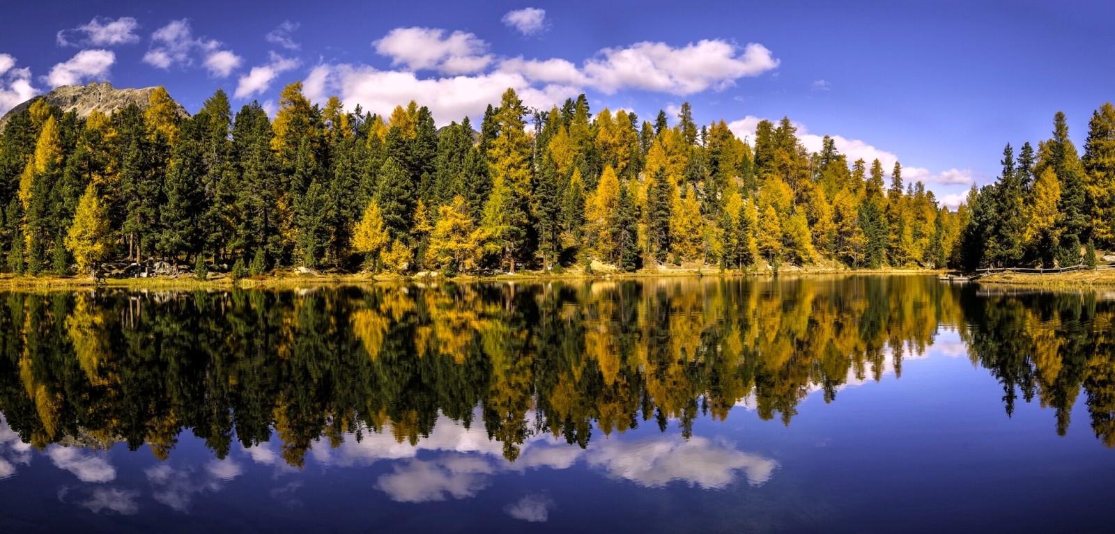 efterår, Skov, Schweiz, sø, afspejling, træer, Graubünden, Lake Champfer