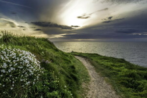 natura, mare, riva