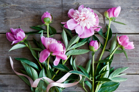 braid, buds, peonies