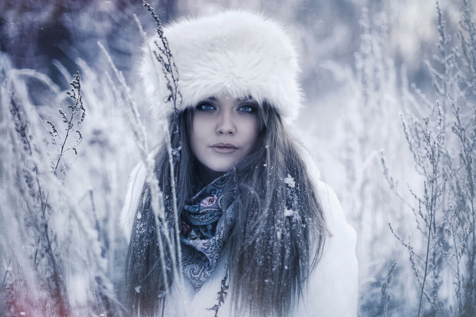 nieve, retrato, invierno, Karen Abramyan