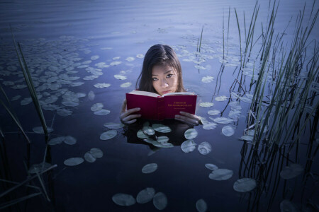 libro, ragazza, lago