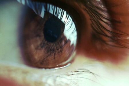 eyelashes, eyes, the pupil