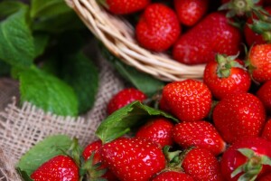 Korb, Beeren, frische Beeren, Erdbeere