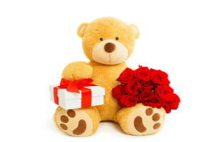 orso, regalo, cuore, amore, romantico, Rose, orsacchiotto, San Valentino