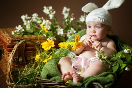 bébé, garçon, enfant, Enfance, les enfants, fille, enfant, des gamins