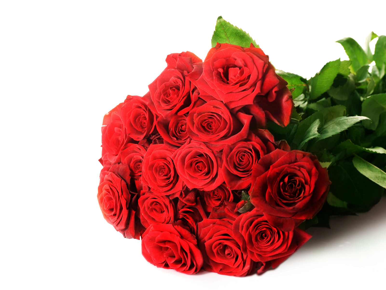 red, roses, flowers, bouquet, photo