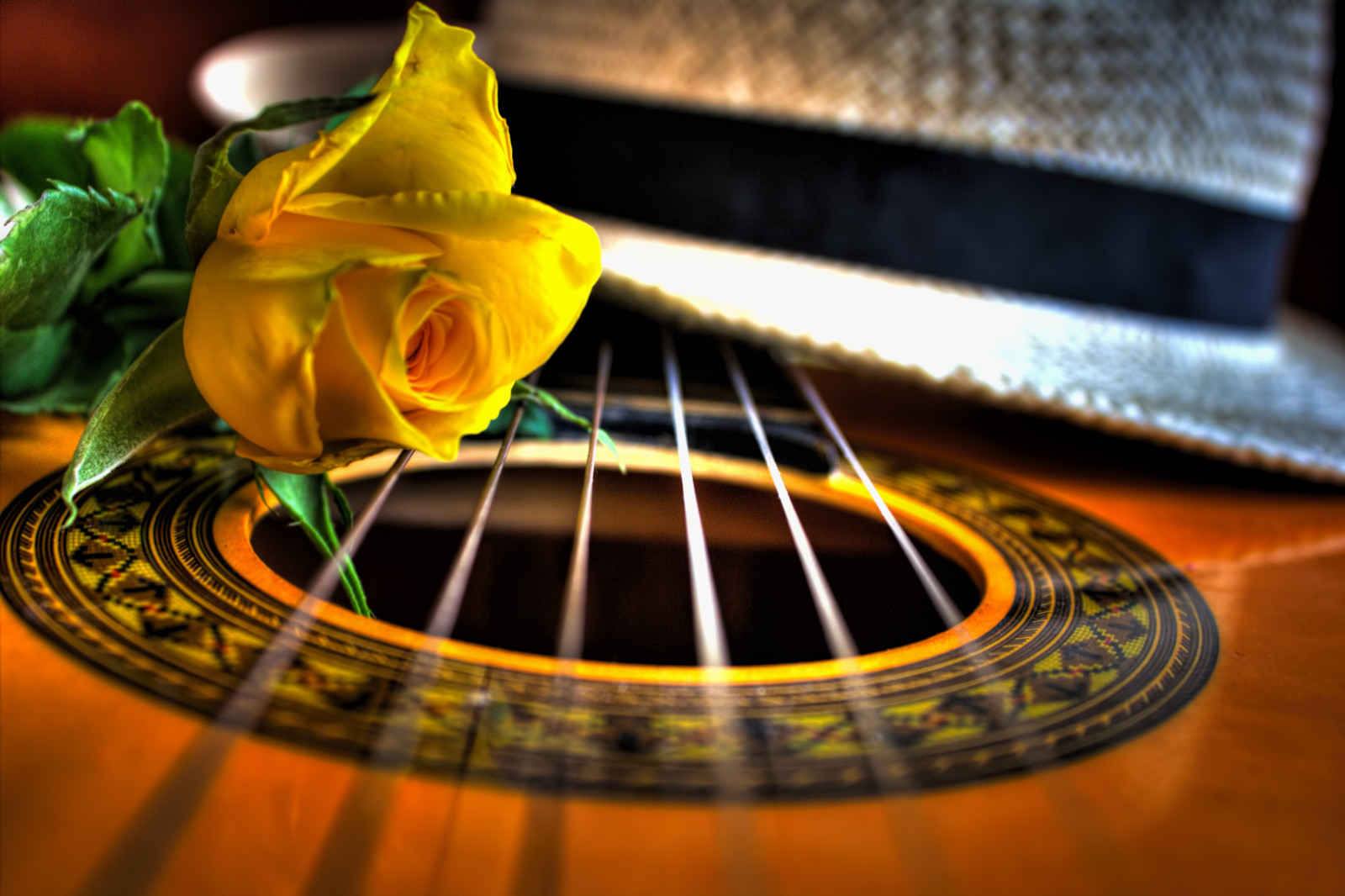 macro, rosa, guitarra