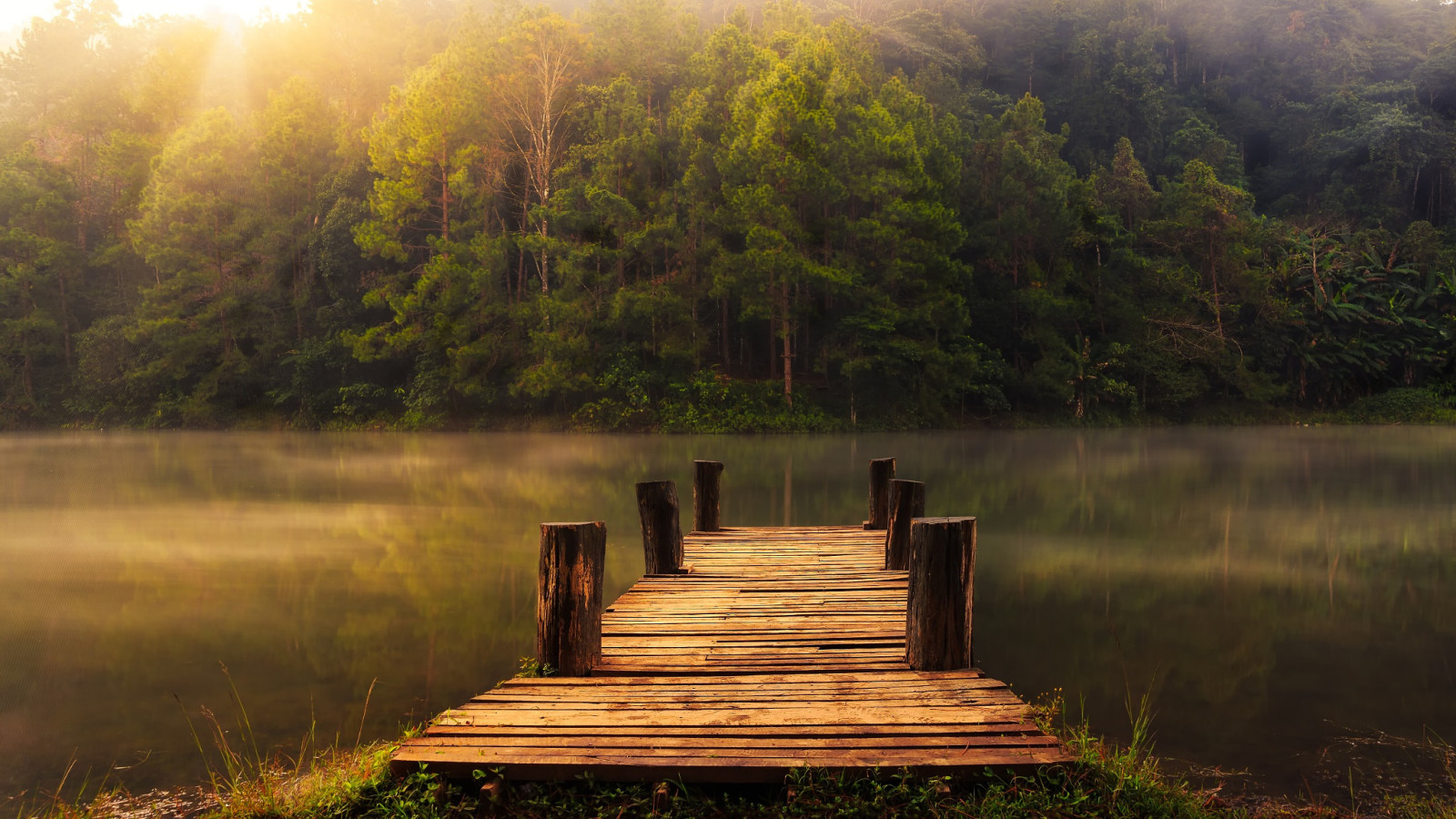 bosque, lago, apuntalar, arboles, muelle