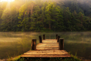 bosque, lago, muelle, apuntalar, arboles