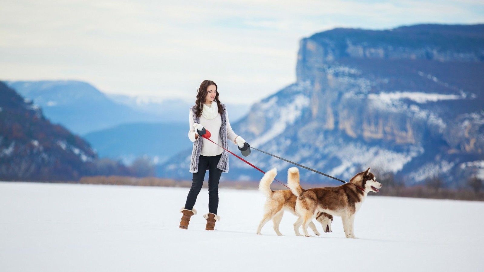 snow, girl, winter, dogs, Siberian husky