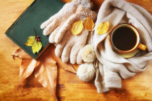 l'automne, café, tasse, chaud, feuilles, écharpe