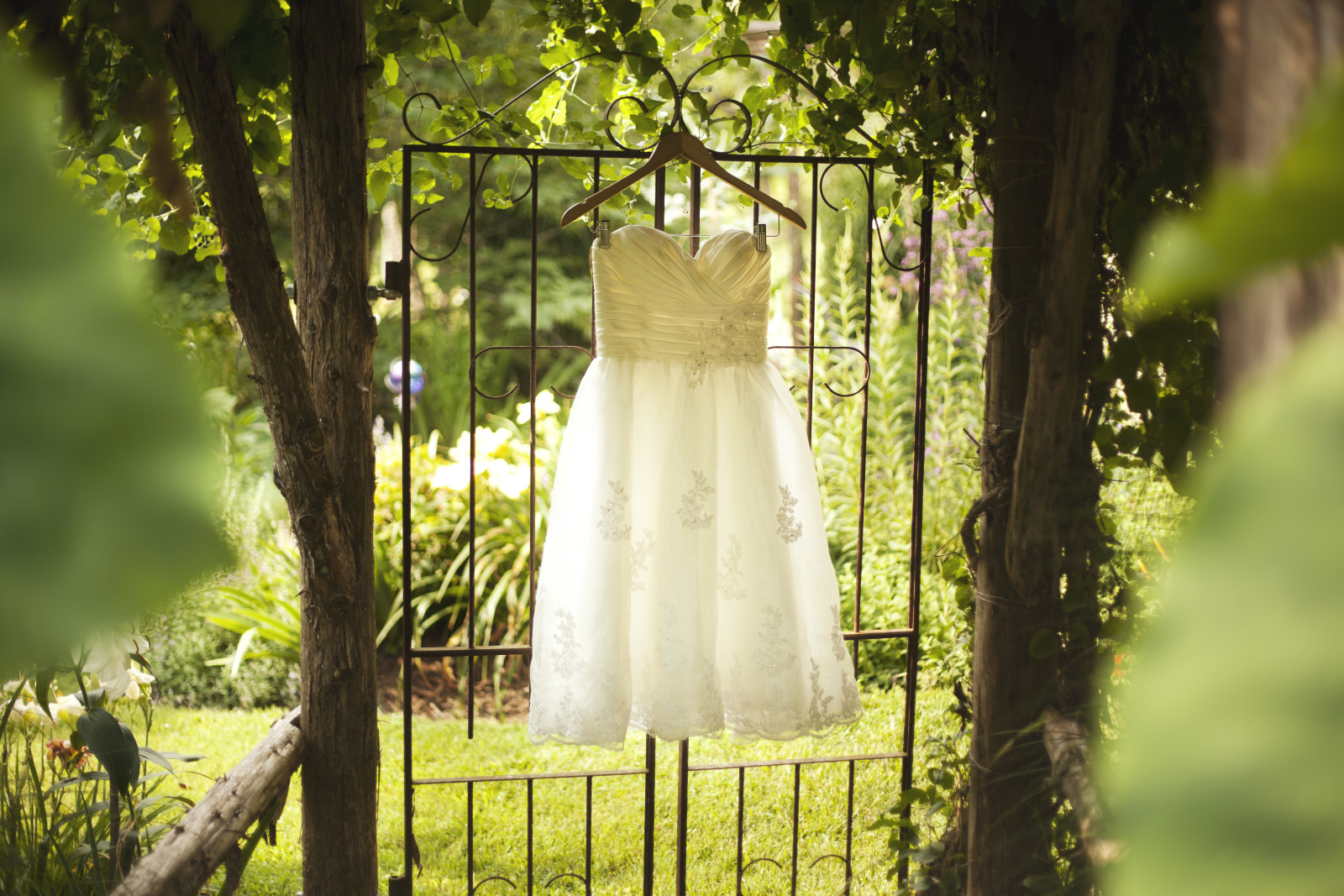 trees, white, dress, wedding