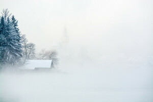 Nebel, Schnee, Winter