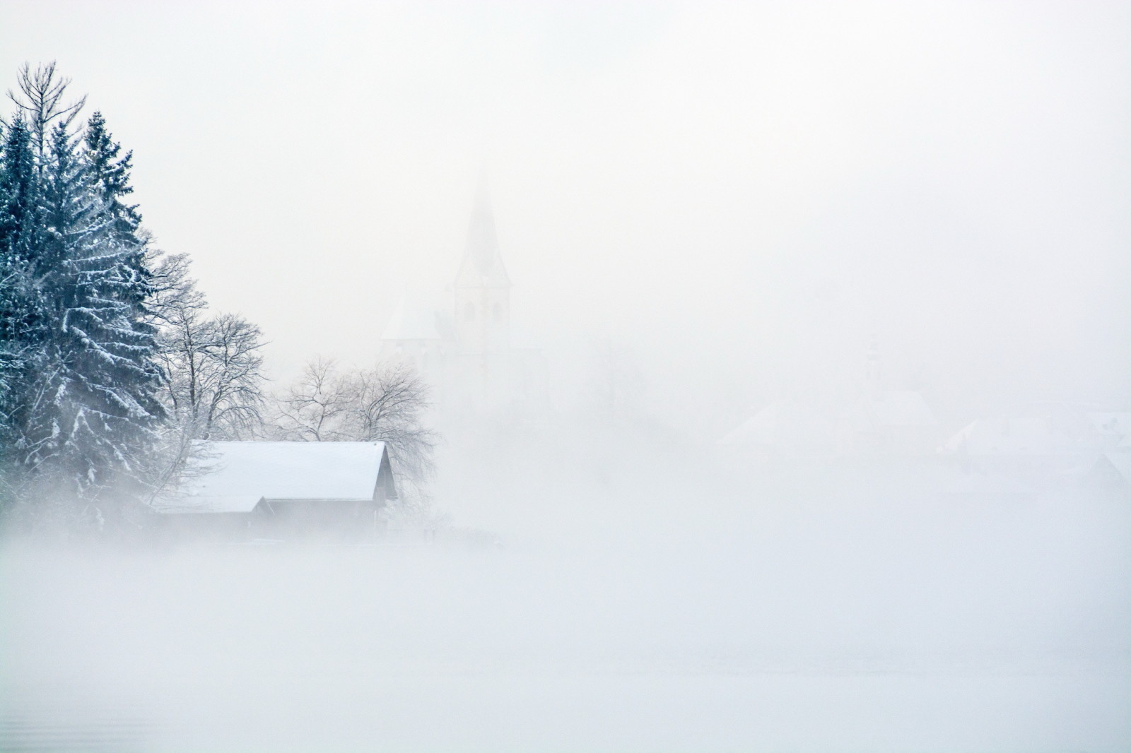 śnieg, zimowy, mgła