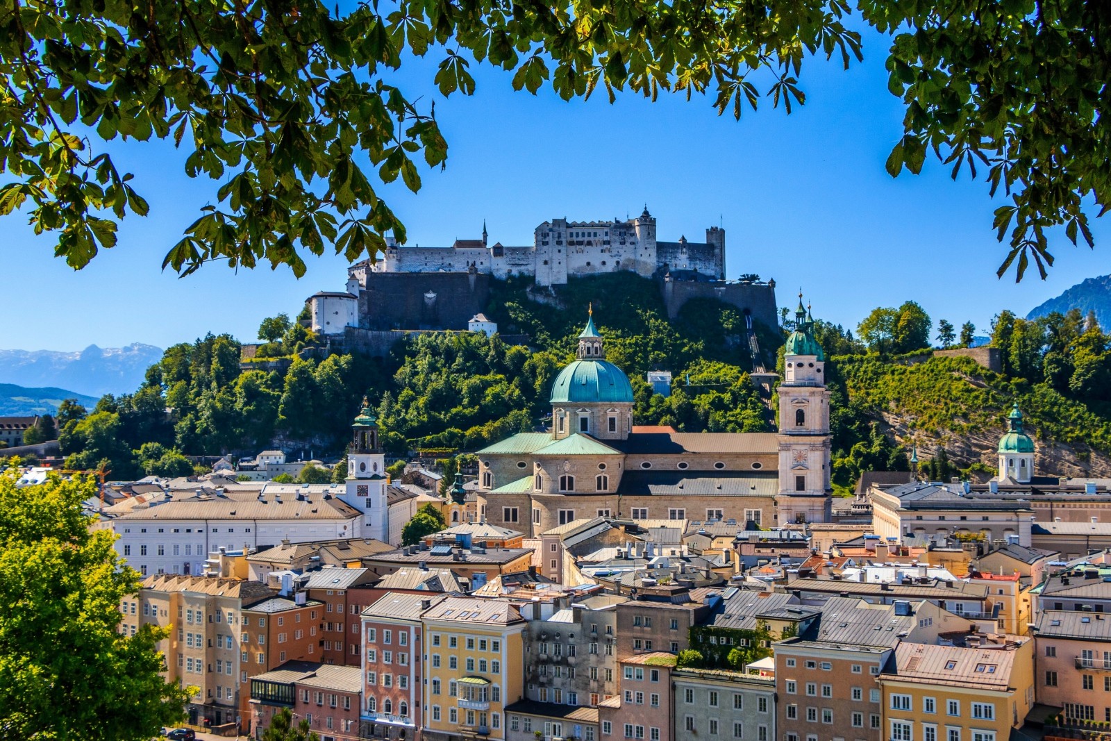 vetvy, pevnosť, panoráma, budova, Rakúsko, Salzburg, Pevnosť Hohensalzburg, Katedrála v Salzburgu