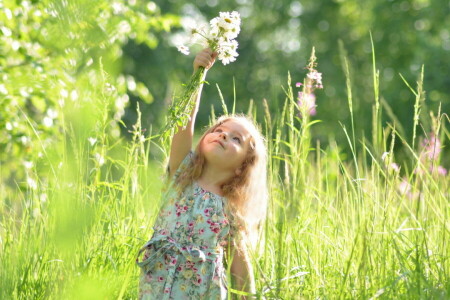 DANDELONES, niña, verano