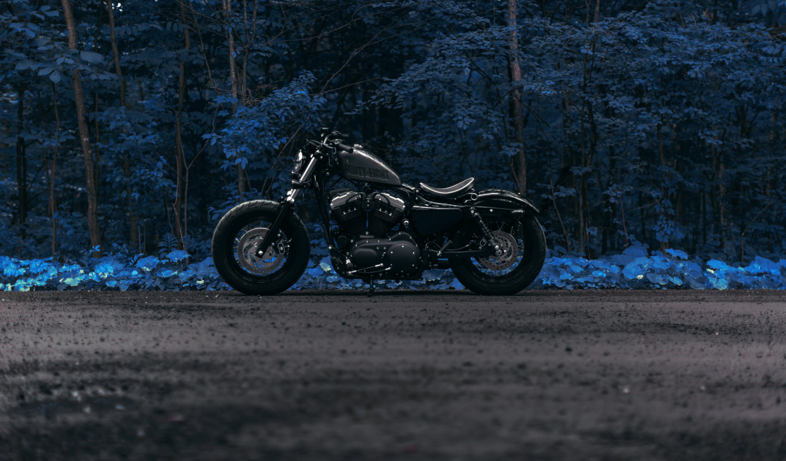 bosque, la carretera, Harley cuarenta y ocho