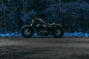 forest, Harley Forty Eight, road